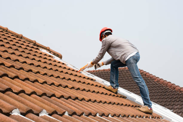 Trusted Davenport, FL Roofing services Experts